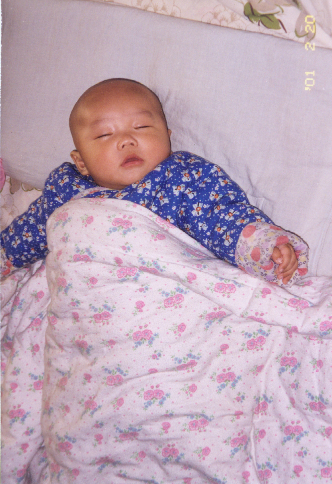 1542635973720007316.jpg q20010220.jpg