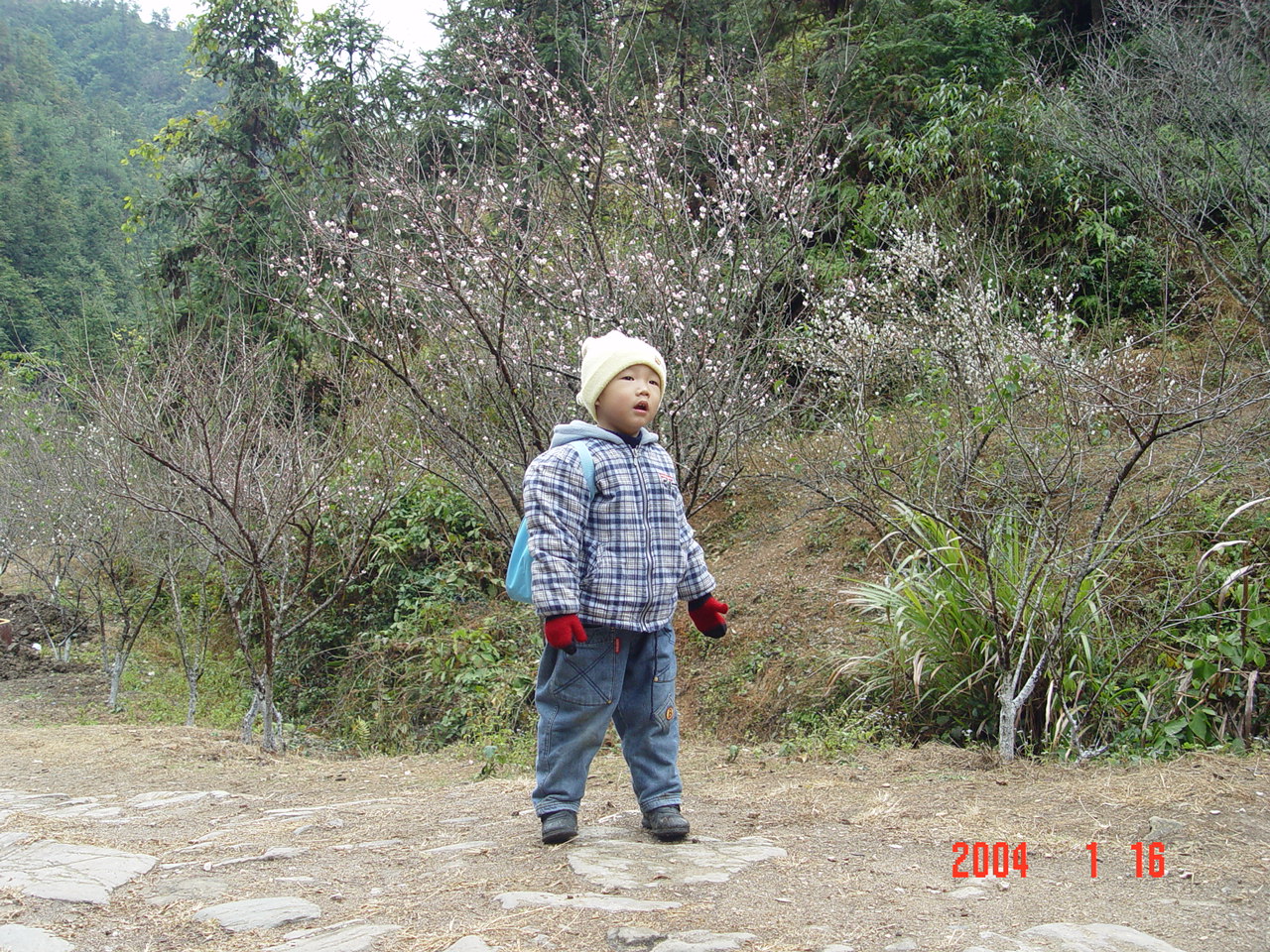 1553866262001092472.jpg DSC02213.jpg